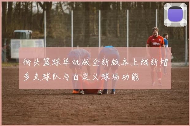 街头篮球单机版全新版本上线新增多支球队与自定义球场功能