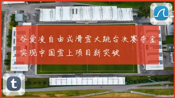 谷爱凌自由式滑雪大跳台决赛夺金实现中国雪上项目新突破