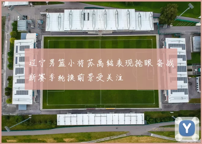 辽宁男篮小将苏禹铭表现抢眼 备战新赛季轮换前景受关注