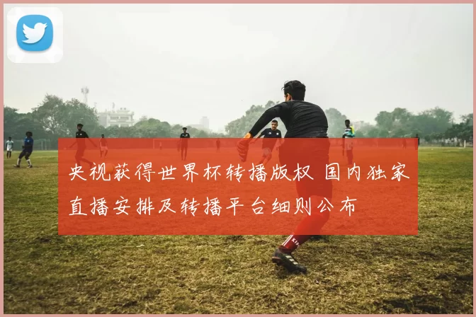 央视获得世界杯转播版权 国内独家直播安排及转播平台细则公布