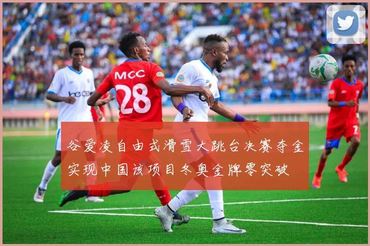 谷爱凌自由式滑雪大跳台决赛夺金实现中国该项目冬奥金牌零突破