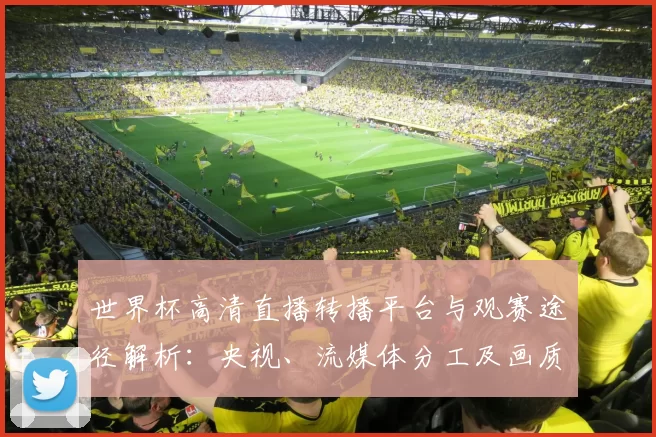 世界杯高清直播转播平台与观赛途径解析：央视、流媒体分工及画质提醒