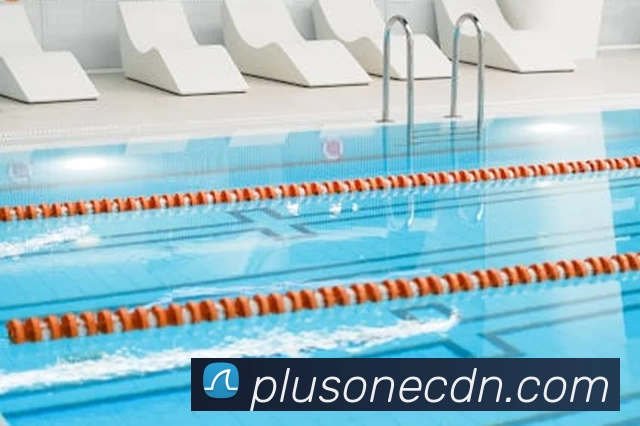 2UPBATE体育(中国)官方网站 - 登录入口平台生态图